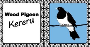 Alternative view of Aotearoa New Zealand